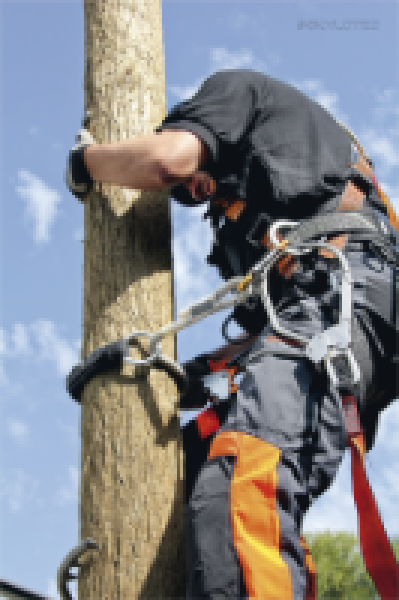 Sicherheitsvorrichtung "Bypass"